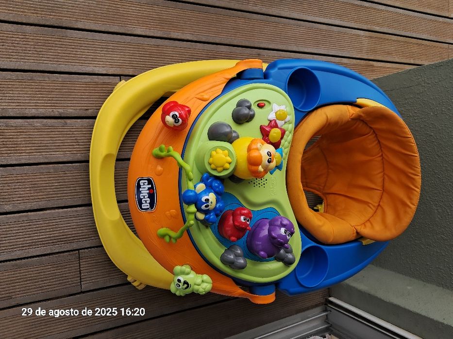 120 Aranha andado da chicco