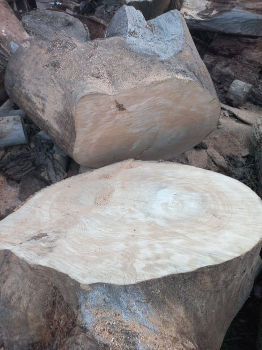 Blaty stół plaster drewna srednica do 140 cm