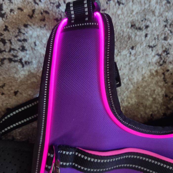 Шлея для собак з світовим ефектом