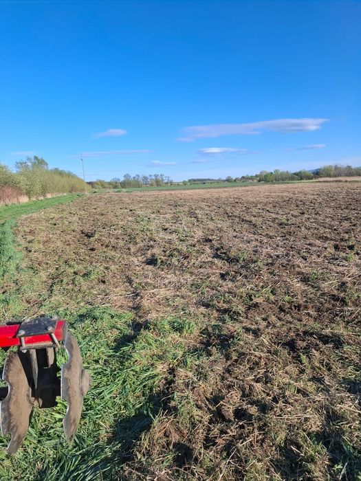 Wydzierżawię pole orne 1,1 ha