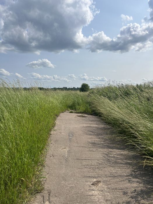 Підбірці пустомитівський район