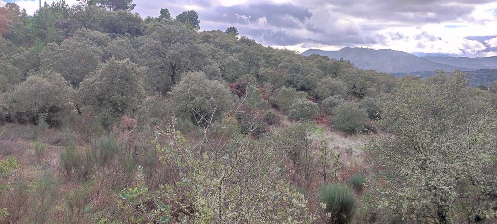 Terreno Rustico com 16643 m2