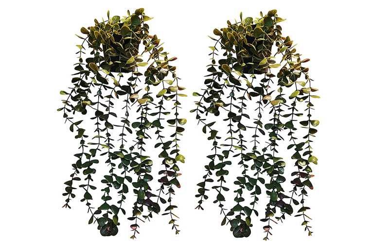 Wiszące kwiaty w doniczce 2 szt rozłożysty eukaliptus dekoracja domu