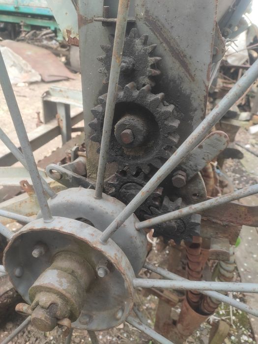 Сівалка польська