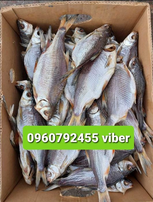 Чехонь крупна з ікрою.малосольна жирна Тарань