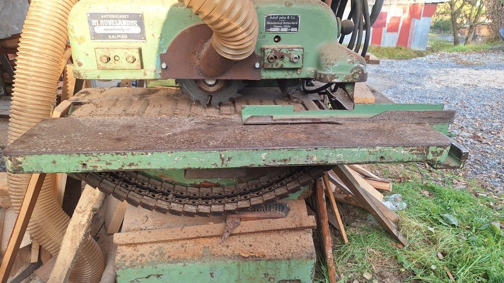 Wielopiła gąsienicowa