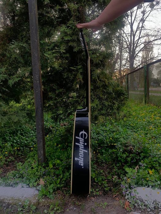 Гітара Epiphone DR-100 EB