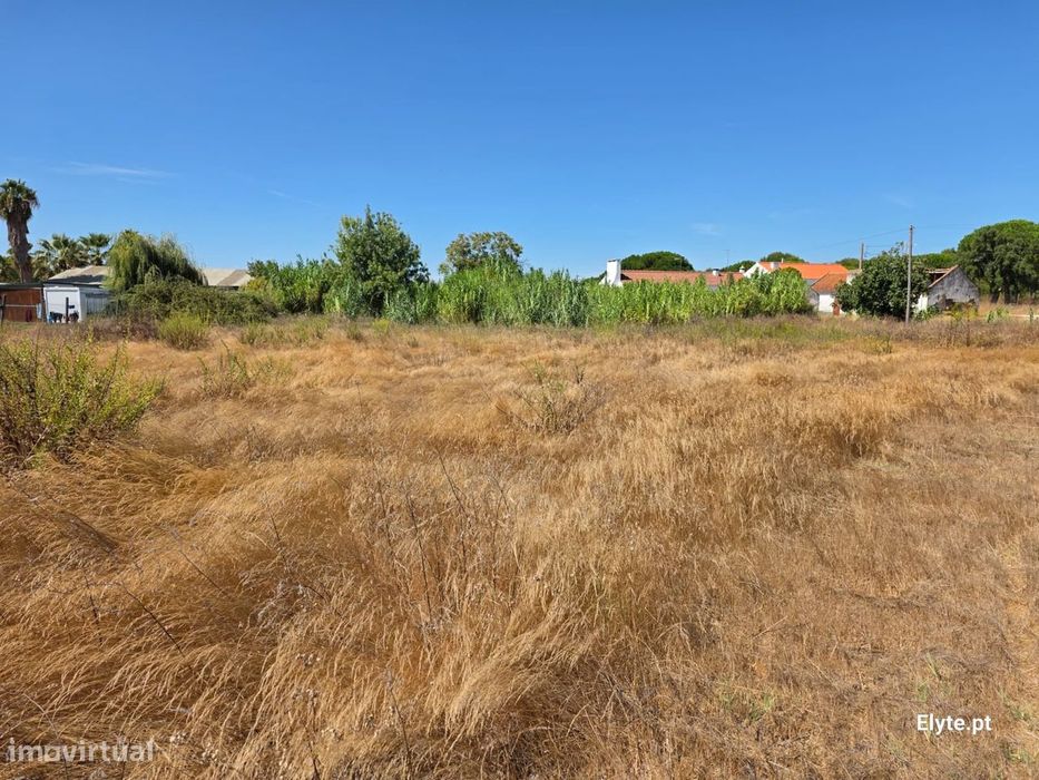 Moradia com terreno Urbano na Branca