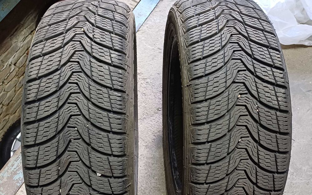 Шини зимові пара 205/55 R16 91Т