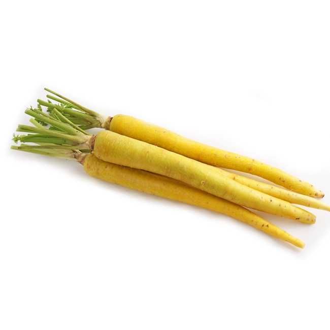 50 sementes de Cenoura Amarela - Daucus carota