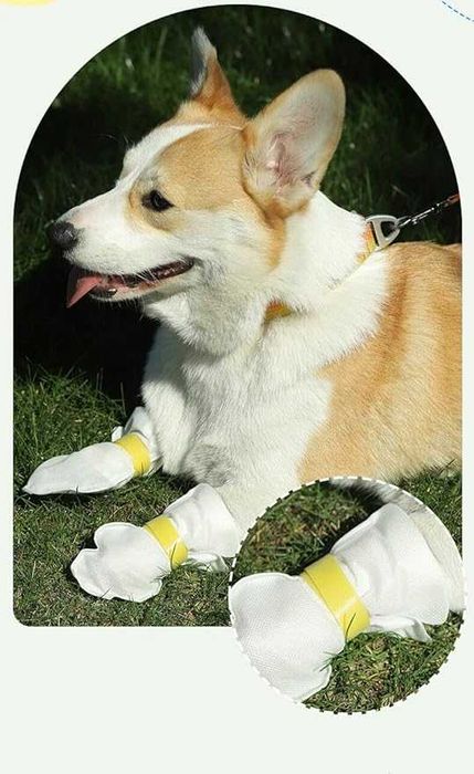 Skarpetki dla psów buty wodoodporne na skaleczenia rany 20 sztuk