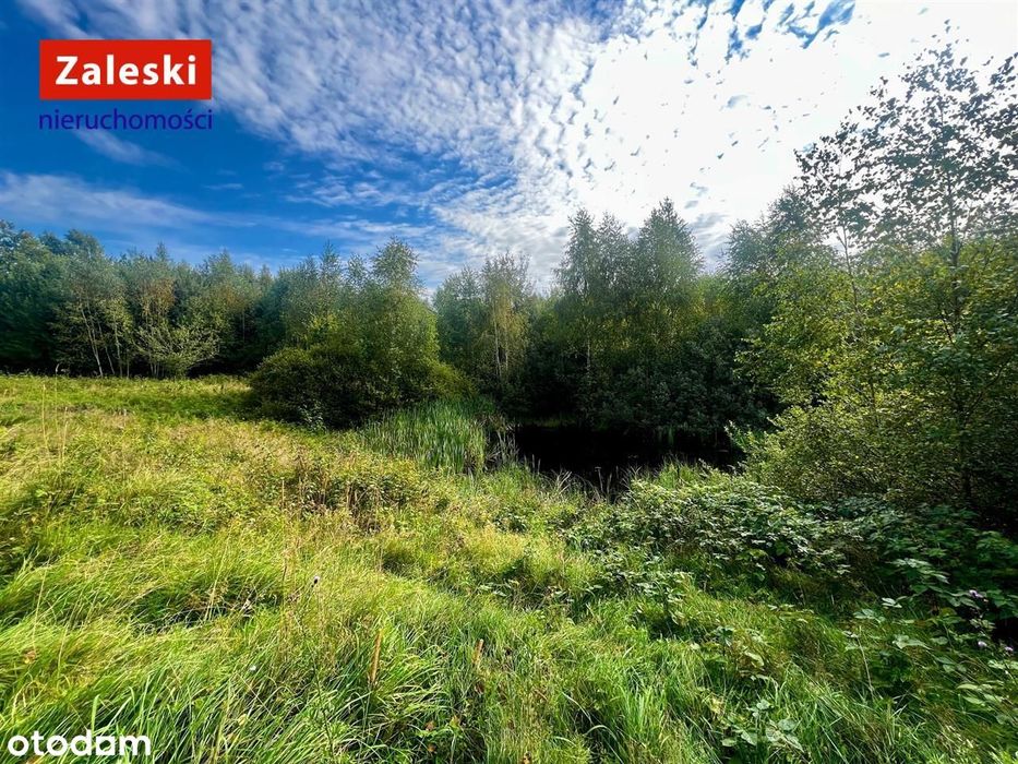 Działka pod agroturystykę lub własną oazę spokoju.