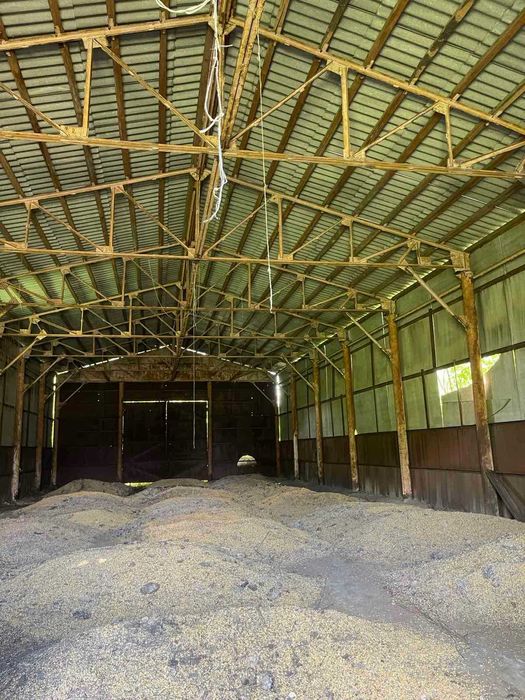 Ферма Киевская обл. Обуховский р-н