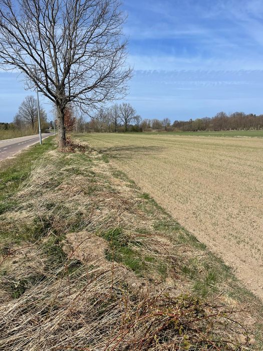 Działka budowlana nad morzem (k. Jarosławca)