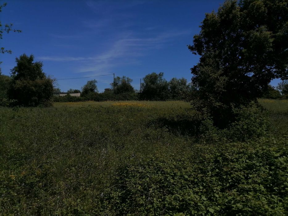 Terreno Rústico 2440m2 com água e luz