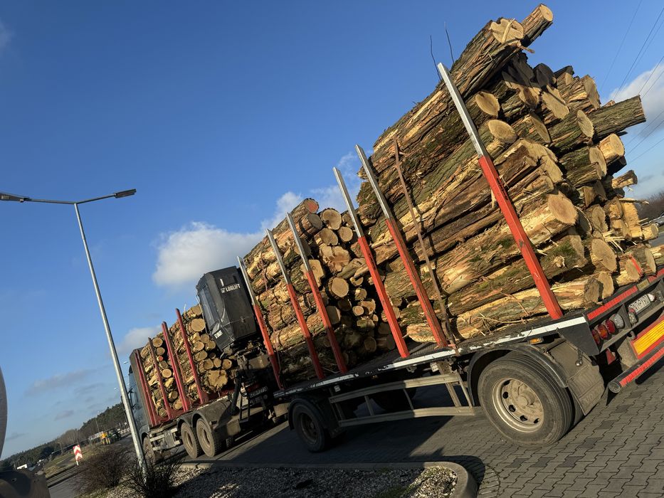 Drewno opałowe kominkowe  S2A s2aAP WDP - papierówka ,kłoda