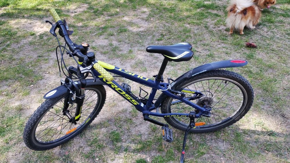 Rower KROSS Jr1.0