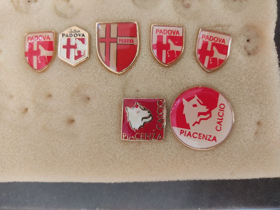 Pins Padova e Piacenza Itália
