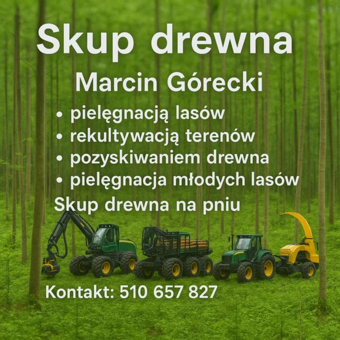Kompleksowe usługi leśne