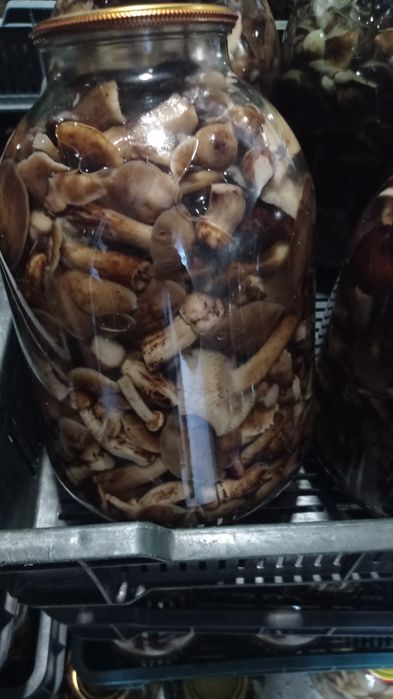 Опеньки мариновані