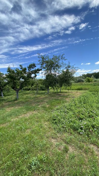 Хатинка + Струмок, с. Красне Перше, м. Обухів 3км, м. Київ 35км.