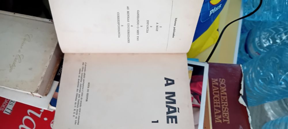 Livro a mãe de Gorki