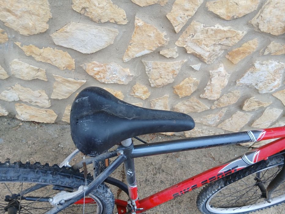 Bicicleta de montanha