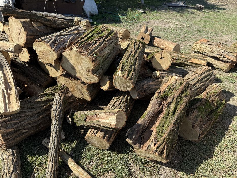 Дрова акация,дуб,ясень