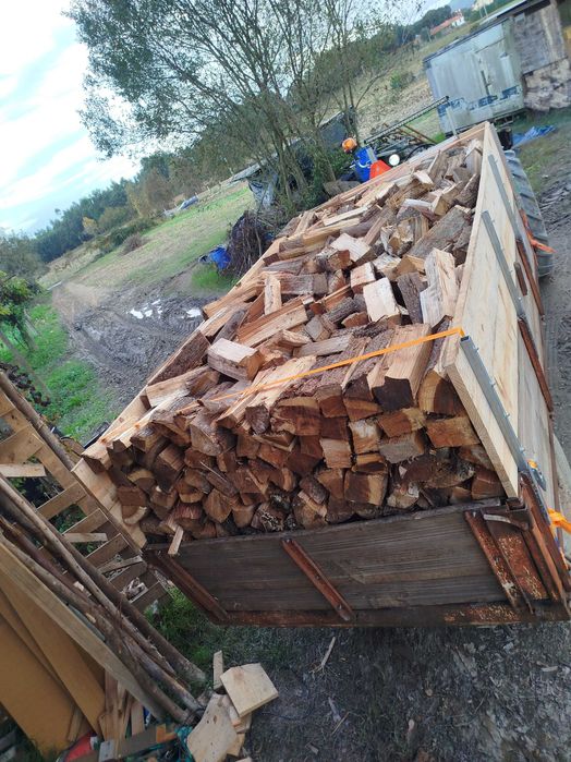 Lenha verde de eucalipto e carvalho