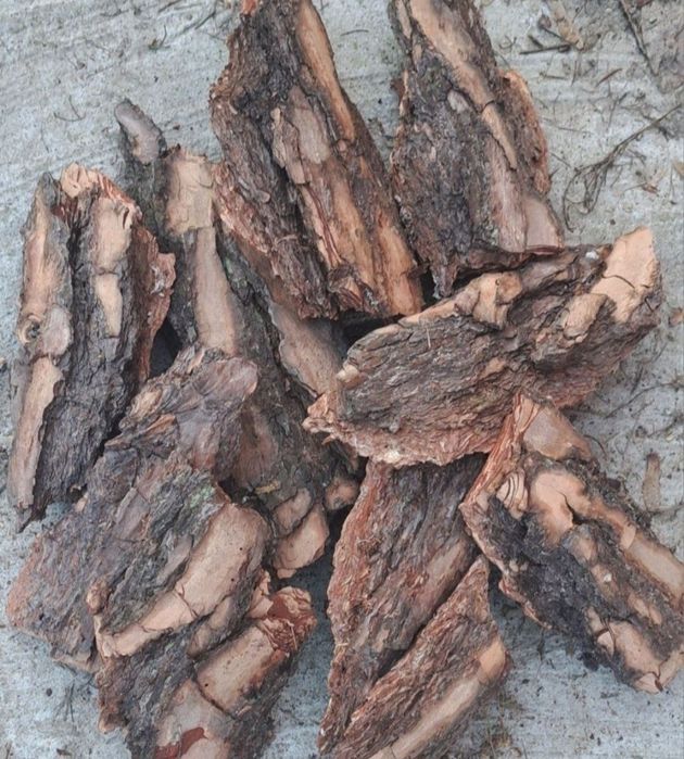 Kora sosnowa 80l 14zł Dostawa