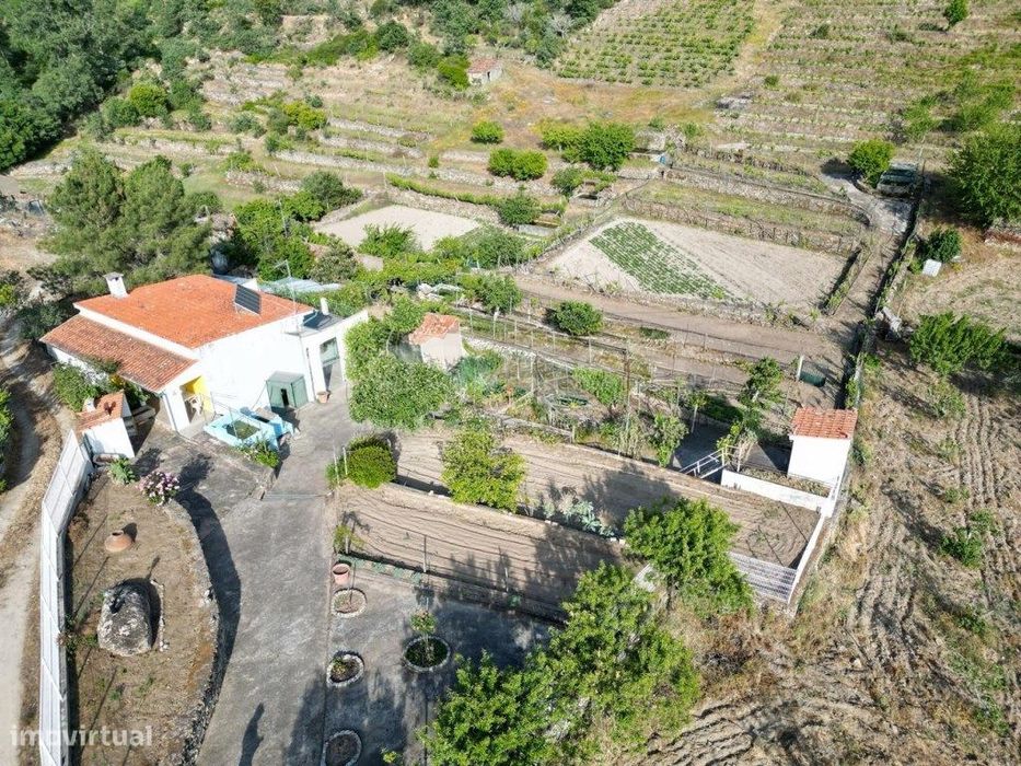 Magnifico terreno agricola com habitação T1- 31507 m2 de área em Ca...