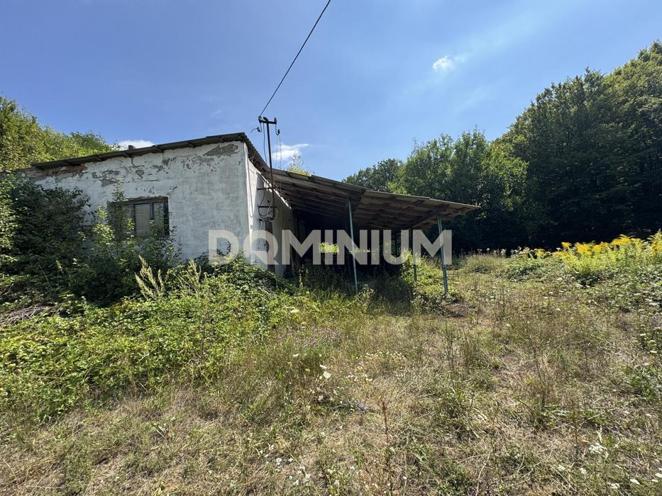 Продаж .Земля .Ферма .Іршава .Cуботіно
