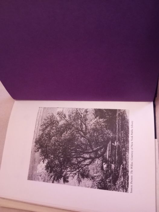 W. B. Yeats (Autor Prémio Nobel) - A Poet to his Beloved