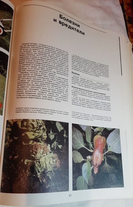 Энциклопедия садовода, Прага, 1989 г, большое подарочное издание