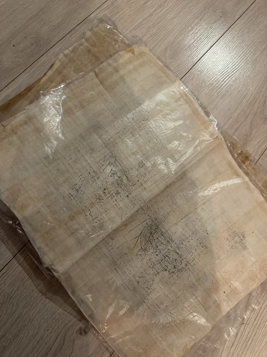 Papirus 43/33 z Egiptu przywieziony