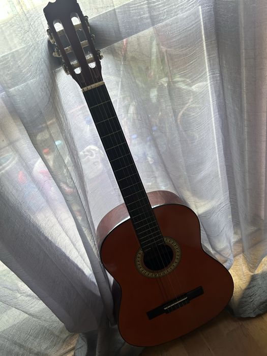 Viola.