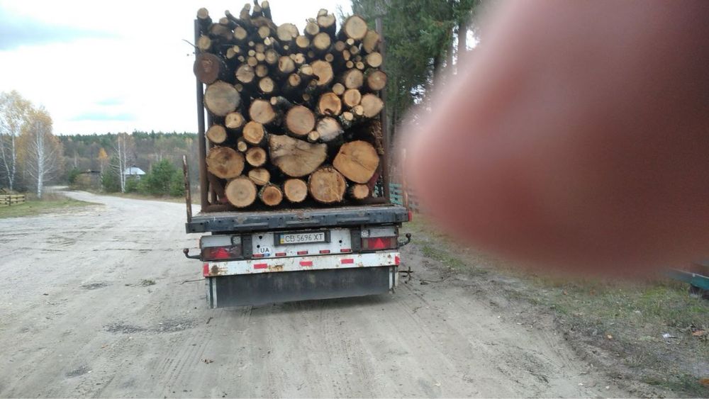 Дрова Дубові з Доставкою по Київській області, Дуб Дрова