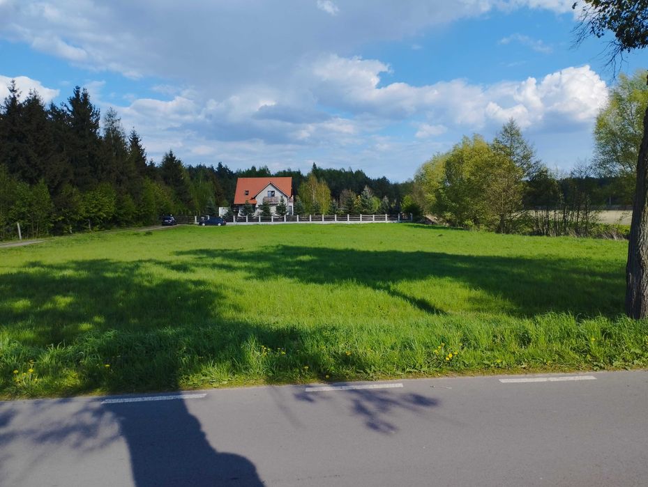 Działka Barcice, Ryjewo,