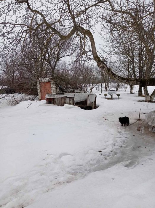 Будинок  с нападівка