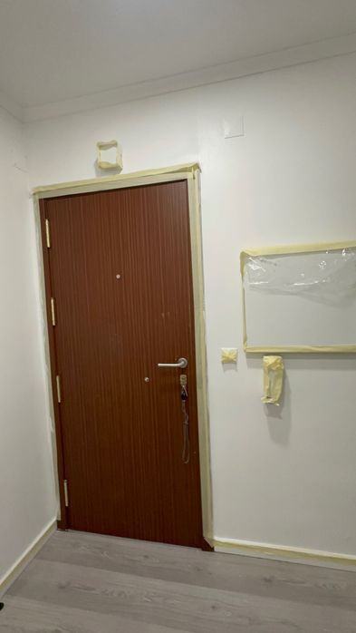 Profissional de Pinturas