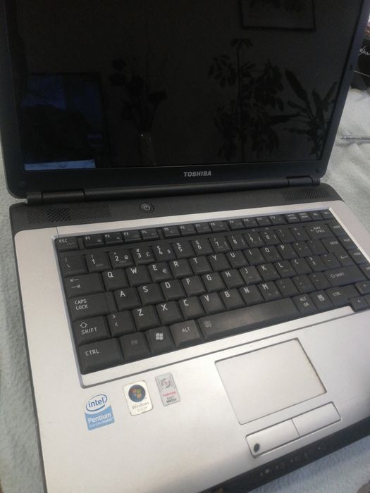 Toshiba satellite L300