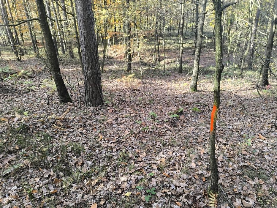 Piękna działka leśno rekreacyjna