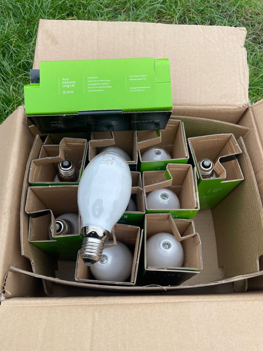 Żarówka SE 50W Auralicht