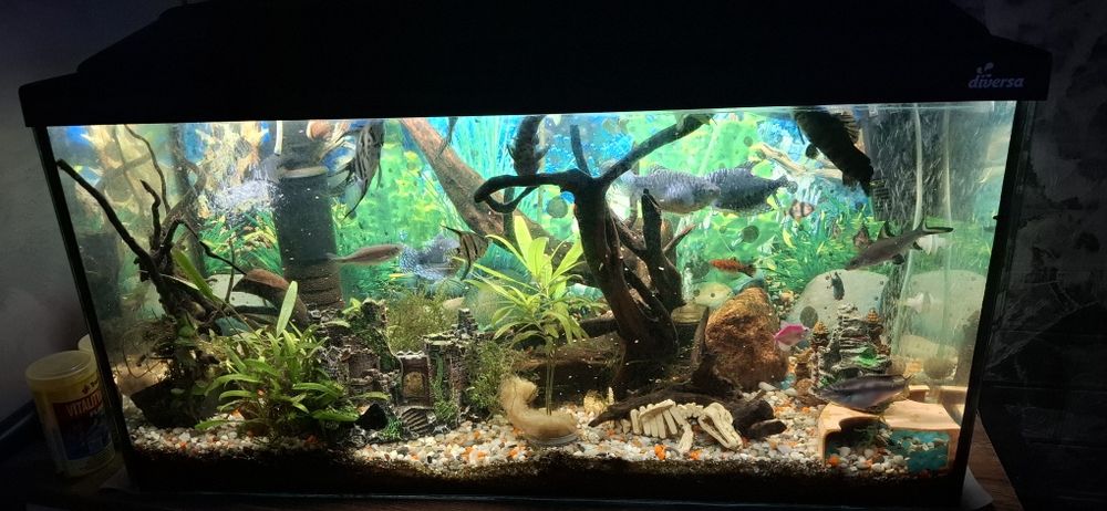 Sprzedam akwarium 150l.