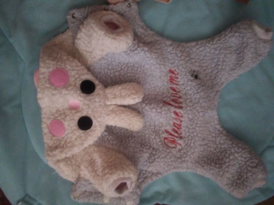 Одежда и аксессуары для собак