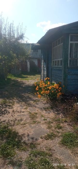 Продам будинок, м. Борзна, по вул. Покровській, буд. 57