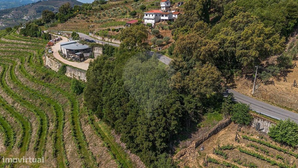 Terreno  para venda