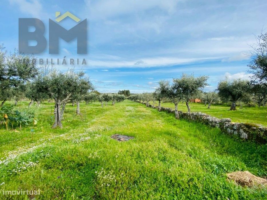 Quinta em zona rural tranquila