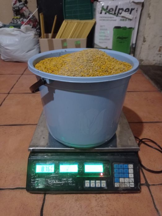 Пилок квітковий (Обніжя бджолине)