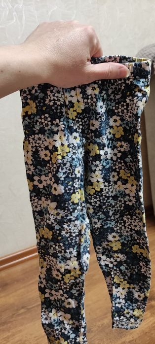 Лосини  1-2 роки